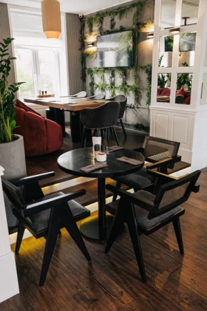 картинка Стул Berg | Берг от компании CORSASTYLE